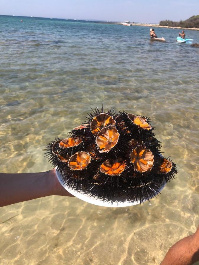 Salento Casa Vacanza Il Focolare Torchiarolo Exteriör bild