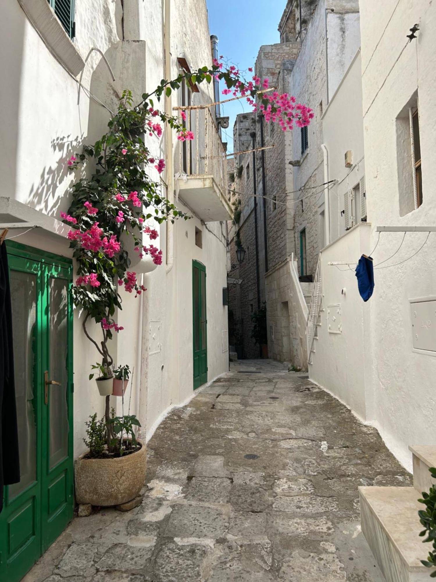 Salento Casa Vacanza Il Focolare Torchiarolo Exteriör bild